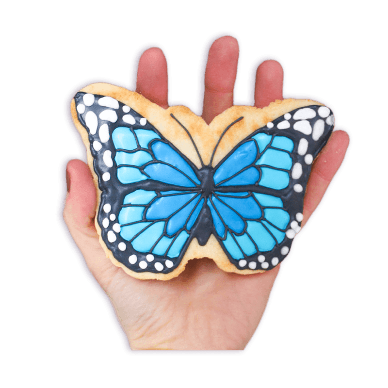 butterfly effect pick a cookie funny face bakery 340856